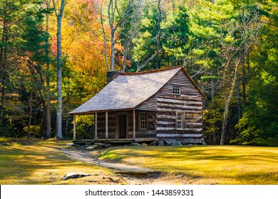 a restored log cabin surrounded by trees showing fall colors  in the Cades Cove region of the Great Smoky Mountains National Park, Tennessee