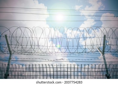 Restricted area with sky and sun, barbed bottom view and morning sun, Barbed wire fence and wire mesh with sky, Fence with barbed wire against the blue sky. Barbed wire barrier in restricted area.