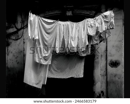 Similar – Image, Stock Photo washing day