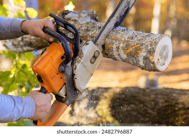 As result of strong hurricane, municipal worker is cutting down fallen trees - Powered by Shutterstock