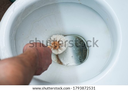 The result of using different methods of cleaning the toilet bowl in one photo, using chemistry and a mechanical hand wash