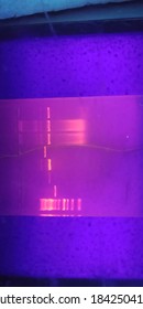 The Results Of Agarose Gel Electrophoresis