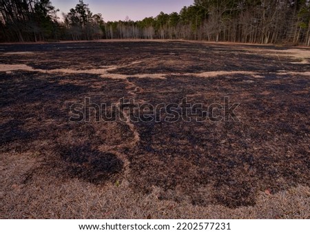 Results of a fire on a pasture in North Caroilina