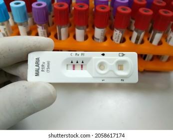 Results Of Quick Malaria Test From Blood, Lebombo Border Control, South Africa