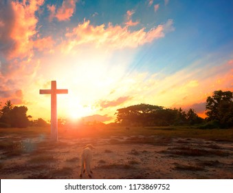 Resurrection of Jesus Christ concept: God Lamb in front of the cross of Jesus Christ on sunrise background
 - Shutterstock ID 1173869752