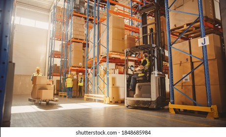 Retail Delivery Warehouse full of Shelves with Goods in Cardboard Boxes, Workers Scan and Sort Packages, Move Inventory with Pallet Trucks and Forklifts. Product Distribution and Delivery Logistics.