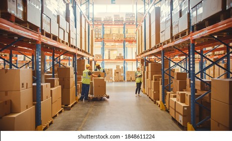 Retail Warehouse full of Shelves with Goods in Cardboard Boxes, Workers Scan and Sort Packages, Move Inventory with Pallet Trucks and Forklifts. Product Distribution Delivery Center. - Powered by Shutterstock