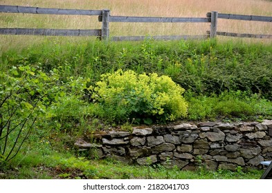 Retaining Wall In The Herb Garden With A Wooden Enclosure For Horses On D Slope. Raised Wooden Vegetable Garden Beds. Greenhouse For Growing Vegetables At Home