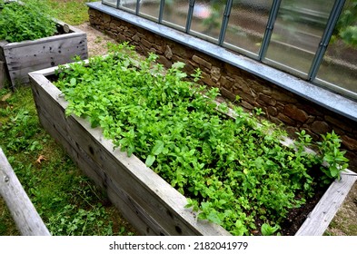 Retaining Wall In The Herb Garden With A Wooden Enclosure For Horses On D Slope. Raised Wooden Vegetable Garden Beds. Greenhouse For Growing Vegetables At Home