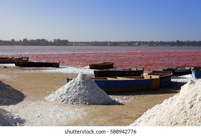 Retba Lake - Sénégal