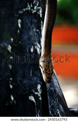 Image, Stock Photo key to my heart Wood Metal