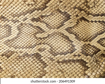 48,386 Python skin pattern Images, Stock Photos & Vectors | Shutterstock