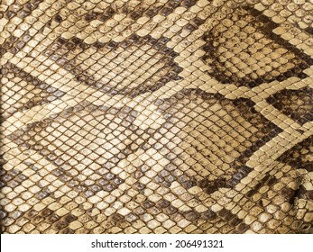 4,927 Boa skin pattern Images, Stock Photos & Vectors | Shutterstock