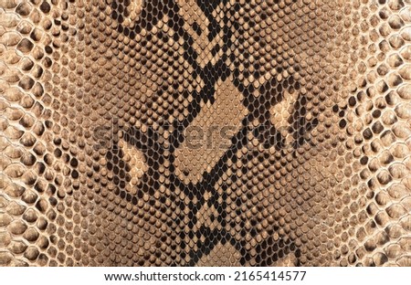 Reticulated python skin as background. Brown snake skin.