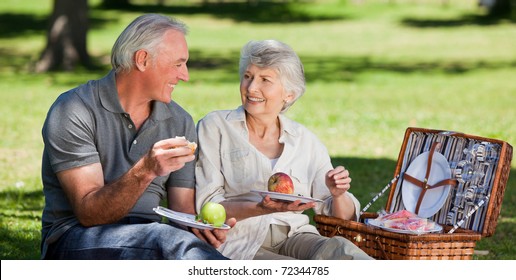 Retired couple  picnicking in the garden