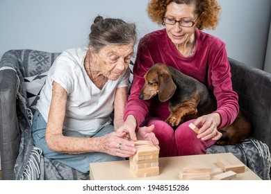 Retired mother and daughter spend time together at home, playing board game and caressing dachshund dog. Caucasian senior woman builds tower of wooden blocks with volunteer assistant in nursing home. - Powered by Shutterstock