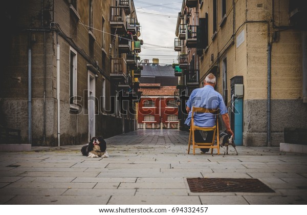 Retired old man sitting on a\
chair in his street, surrounded by his dogs. Unique low\
perspective.