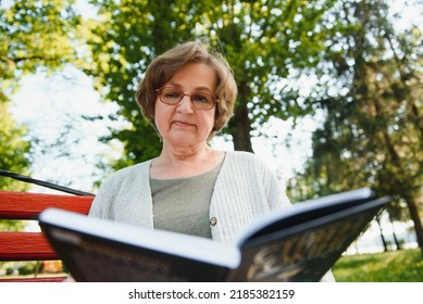 Retired Woman Reading A Book On The Bench.