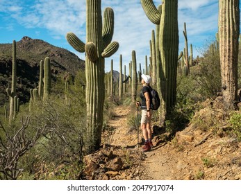 Retired woman waking in a trail among saguaro in the desert of Arizona