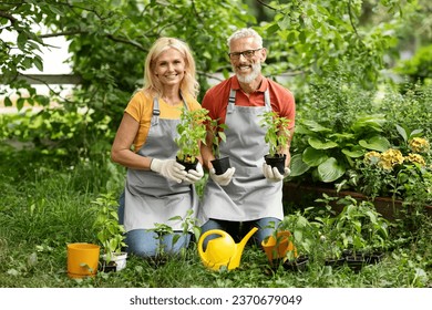 Retirement Leisure. Happy Senior Couple Gardening Together In Backyard, Joyful Older Man And Woman Wearing Aprons Holding Potted Plants In Hands And Smiling At Camera, Enjoying Eco-Farming - Powered by Shutterstock