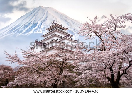 Retouch photo of Tsuruga Castle or Aizuwakamatsu Castle surrounded by hundreds of sakura trees with Mount fuji on the background. Mt. Fuji and Castle is landmark of Japan.