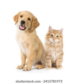 Retriever puppy and cat. isolated on white background - Powered by Shutterstock