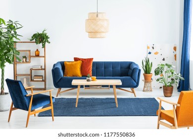 Retro armchairs with wooden frame and colorful pillows on a navy blue sofa in a vibrant living room interior with green plants. Real photo.