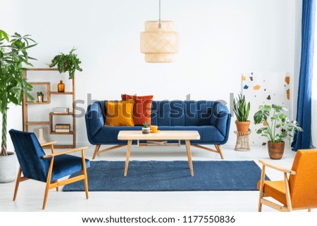 Retro armchairs with wooden frame and colorful pillows on a navy blue sofa in a vibrant living room interior with green plants. Real photo.