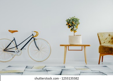 Retro blue bicycle, coffee table with mandarin plant in natural pot and olive green armchair in chic living room interior with copy space on white wall - Powered by Shutterstock