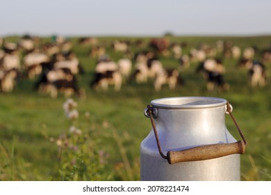 retro can for milk with cows eating clover on the background - Shutterstock ID 2078221474