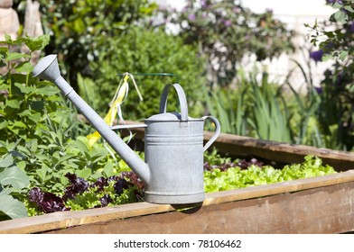 Retro Design Watering Can On A Vegetable Patch