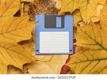 Retro floppy disk on fallen autumn leaves