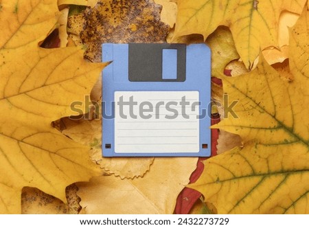 Retro floppy disk on fallen autumn leaves