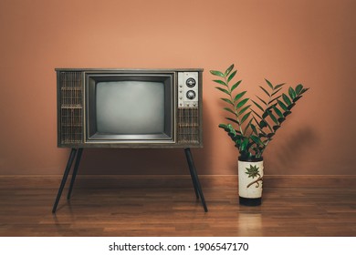 Retro Old TV Stands On Wooden Floor In The Vintage Room With Flower Pots. Antique Television Wooden Cabinet