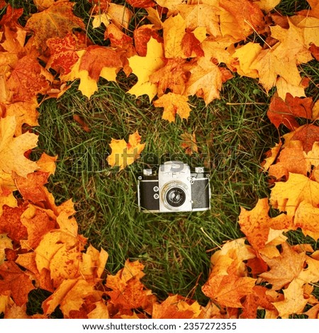 retro photo camera lies in the heart of autumn leaves Stock photo © 