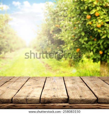 retro rustic table of free space and orange garden 
