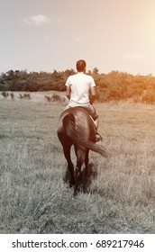 retro shoot of back view man riding horse in the farm, young man in beautiful orange field training brown bay