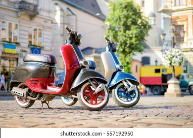 Retro style. Two scooters on old town street. - Powered by Shutterstock