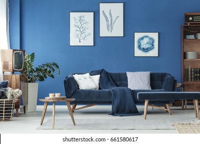 Cyan Living Room Navy Sofa Wooden Stock Photo (Edit Now) 624821354
