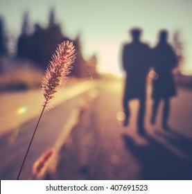 Retro Vintage Soft Focus Romantic Senior Couple Walking At Sunset In Summer