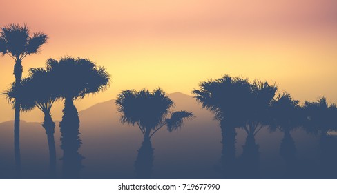 Retro Vintage Style Sunset Palm Trees Against A Desert Mountain Backdrop In Palm Springs USA