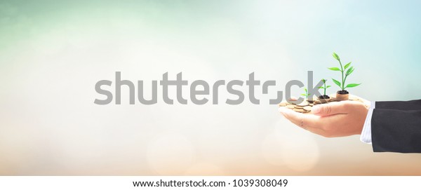 Return on investment concept: Businessman\
hands save holding stack of golden coin with small tree on blurred\
nature background