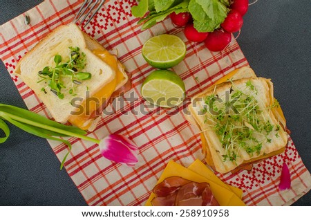 Reuben sandwich with cabbage, beef and spicy dressing, microgrens, fresh herbs and flower