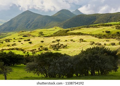 reunion island landscape and vegetation - Shutterstock ID 1108754192