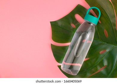 Reusable Plastic Water Bottle With Green Cap And Big Leaf Of Tropical Plant Monstera At Pink Background. Top View, Copy Space.