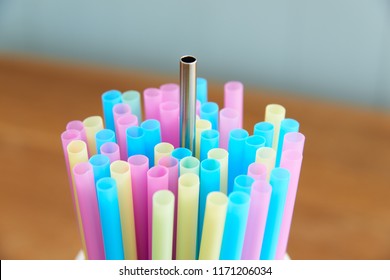 Reusable Stainless Steel Straw With Disposable Straws