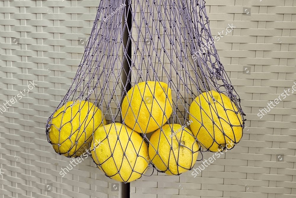 Lemon in a mesh bag. Stock Photo by Maliflower73