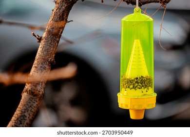 A reusable yellow jacket trap, designed to lure and capture yellowjackets, wasps, and hornets outdoors, blurred background