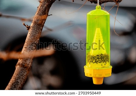 A reusable yellow jacket trap, designed to lure and capture yellowjackets, wasps, and hornets outdoors, blurred background