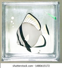 Reveal Transparent One Square Bathroom Glass Block Cube And Have Moorish Idol , A Black And White Marine Fish Illustration See Through Texture .Use For Object And Materials.